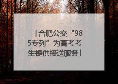 合肥公交“985专列”为高考考生提供接送服务