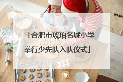 合肥市琥珀名城小学举行少先队入队仪式