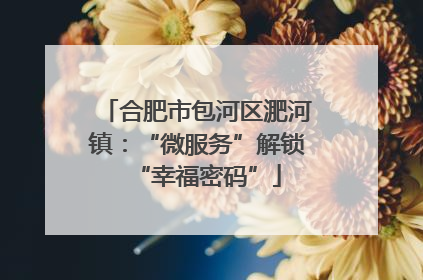 合肥市包河区淝河镇：“微服务”解锁“幸福密码”
