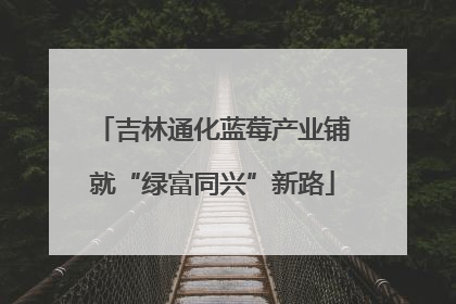 吉林通化蓝莓产业铺就“绿富同兴”新路
