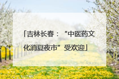 吉林长春：“中医药文化消夏夜市”受欢迎