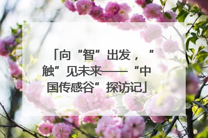 向“智”出发，“触”见未来——“中国传感谷”探访记