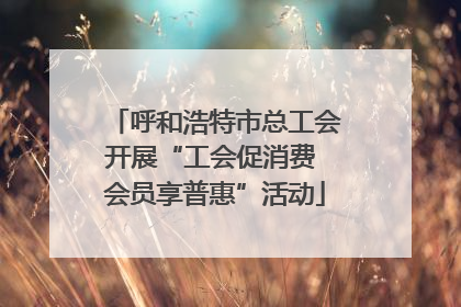 呼和浩特市总工会开展“工会促消费 会员享普惠”活动