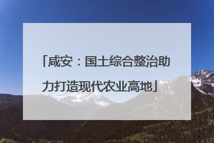 咸安：国土综合整治助力打造现代农业高地