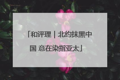 和评理｜北约抹黑中国 意在染指亚太