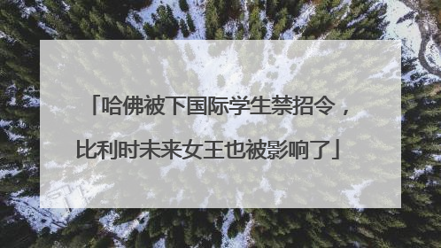 哈佛被下国际学生禁招令，比利时未来女王也被影响了