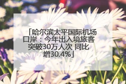哈尔滨太平国际机场口岸：今年出入境旅客突破30万人次 同比增30.4%