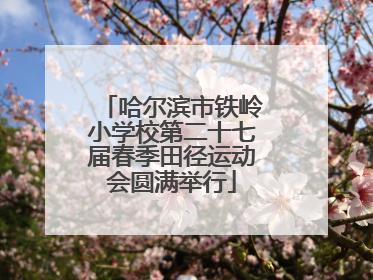 哈尔滨市铁岭小学校第二十七届春季田径运动会圆满举行