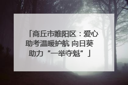 商丘市睢阳区：爱心助考温暖护航 向日葵助力“一举夺魁”