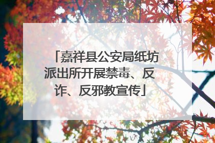 嘉祥县公安局纸坊派出所开展禁毒、反诈、反邪教宣传