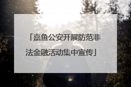嘉鱼公安开展防范非法金融活动集中宣传