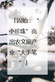 固始：“小珍珠”亮出农文旅产业“大手笔”