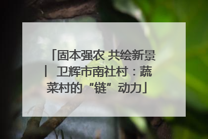 固本强农 共绘新景 ︳卫辉市南社村：蔬菜村的“链”动力