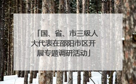 国、省、市三级人大代表在邵阳市区开展专题调研活动