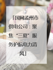 国网孟州市供电公司：聚焦“三夏”服务护航电力清风