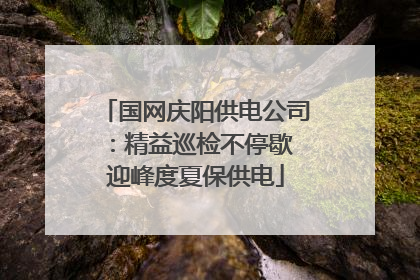 国网庆阳供电公司：精益巡检不停歇 迎峰度夏保供电