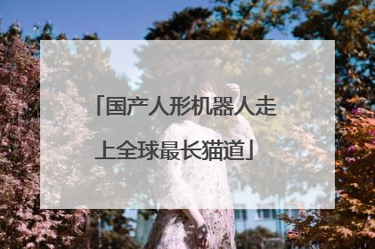 国产人形机器人走上全球最长猫道