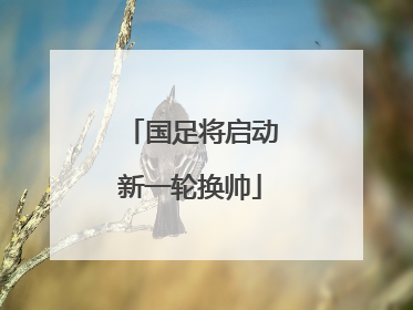 国足将启动新一轮换帅
