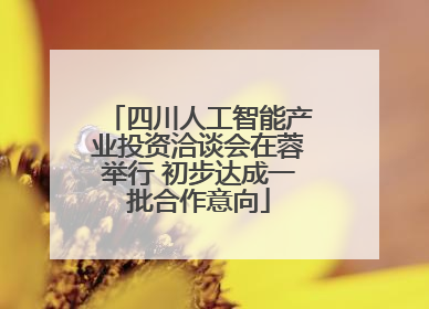 四川人工智能产业投资洽谈会在蓉举行 初步达成一批合作意向