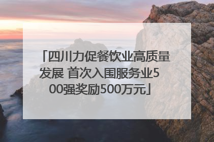 四川力促餐饮业高质量发展 首次入围服务业500强奖励500万元