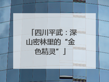 四川平武：深山密林里的“金色精灵”