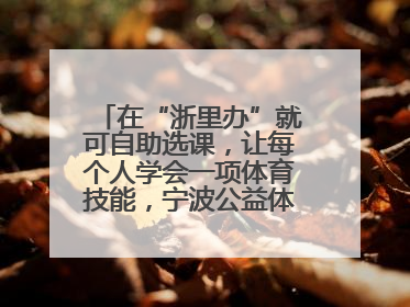 在“浙里办”就可自助选课，让每个人学会一项体育技能，宁波公益体培落到实处