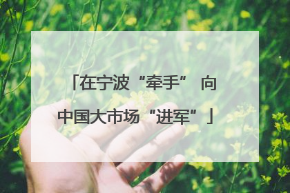 在宁波“牵手” 向中国大市场“进军”