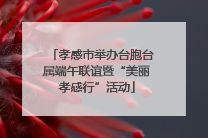孝感市举办台胞台属端午联谊暨“美丽孝感行”活动
