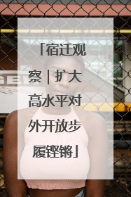 宿迁观察｜扩大高水平对外开放步履铿锵