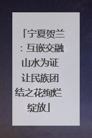 宁夏贺兰：互嵌交融 山水为证 让民族团结之花绚烂绽放