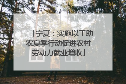 宁夏：实施以工助农夏季行动促进农村劳动力就业增收