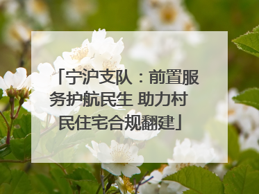 宁沪支队：前置服务护航民生 助力村民住宅合规翻建