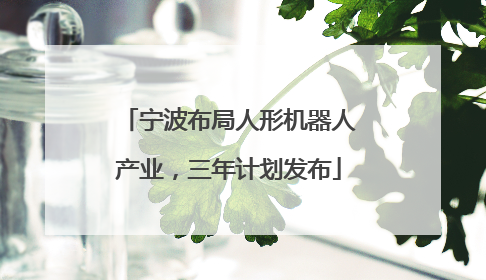 宁波布局人形机器人产业，三年计划发布