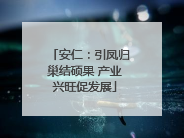 安仁：引凤归巢结硕果 产业兴旺促发展