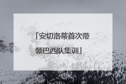安切洛蒂首次带领巴西队集训