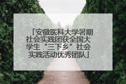安徽医科大学暑期社会实践团获全国大学生“三下乡”社会实践活动优秀团队