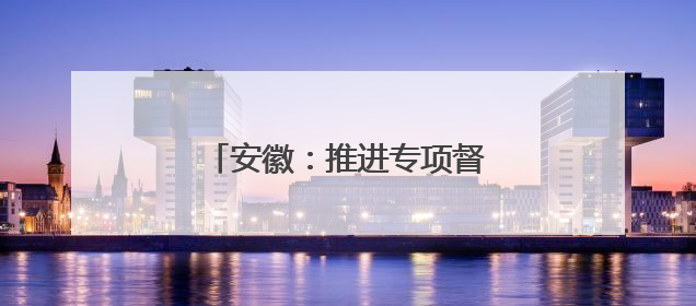 安徽：推进专项督察向深向实开展
