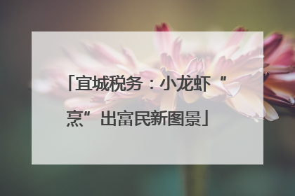 宜城税务：小龙虾“烹”出富民新图景