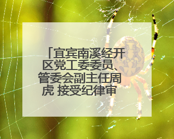 宜宾南溪经开区党工委委员、管委会副主任周虎 接受纪律审查和监察调查