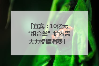 宜宾：10亿元“组合拳”扩内需 大力提振消费