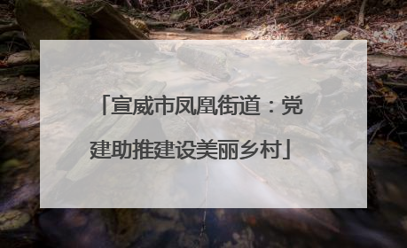 宣威市凤凰街道：党建助推建设美丽乡村