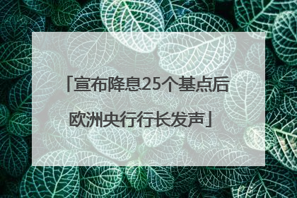 宣布降息25个基点后 欧洲央行行长发声