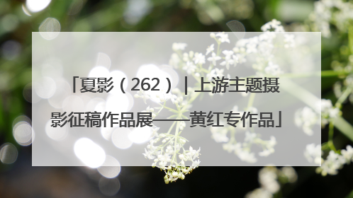 夏影（262）｜上游主题摄影征稿作品展——黄红专作品