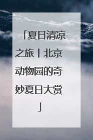 夏日清凉之旅丨北京动物园的奇妙夏日大赏