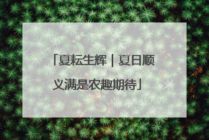 夏耘生辉｜夏日顺义满是农趣期待