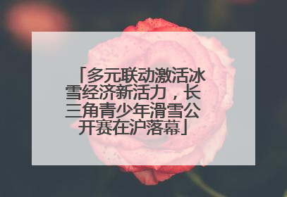 多元联动激活冰雪经济新活力，长三角青少年滑雪公开赛在沪落幕