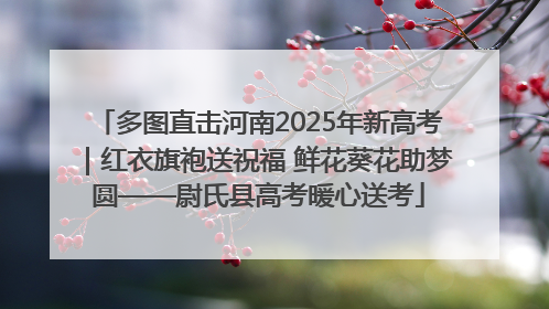 多图直击河南2025年新高考｜红衣旗袍送祝福 鲜花葵花助梦圆——尉氏县高考暖心送考