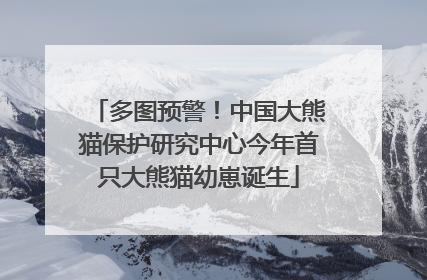 多图预警！中国大熊猫保护研究中心今年首只大熊猫幼崽诞生