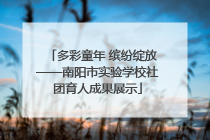 多彩童年 缤纷绽放——南阳市实验学校社团育人成果展示