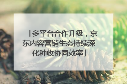 多平台合作升级，京东内容营销生态持续深化种收协同效率